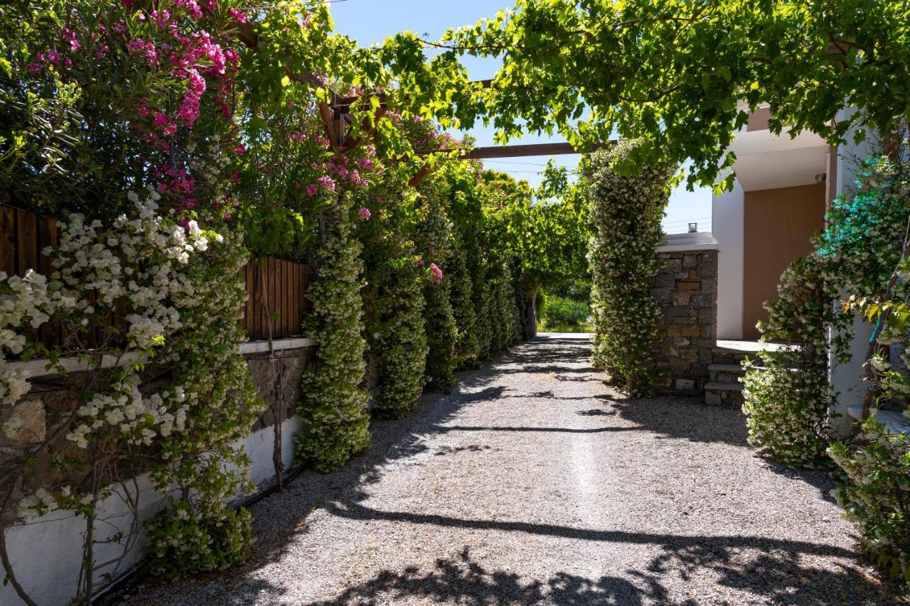 Horizon Line Villas Kiotari Exterior photo